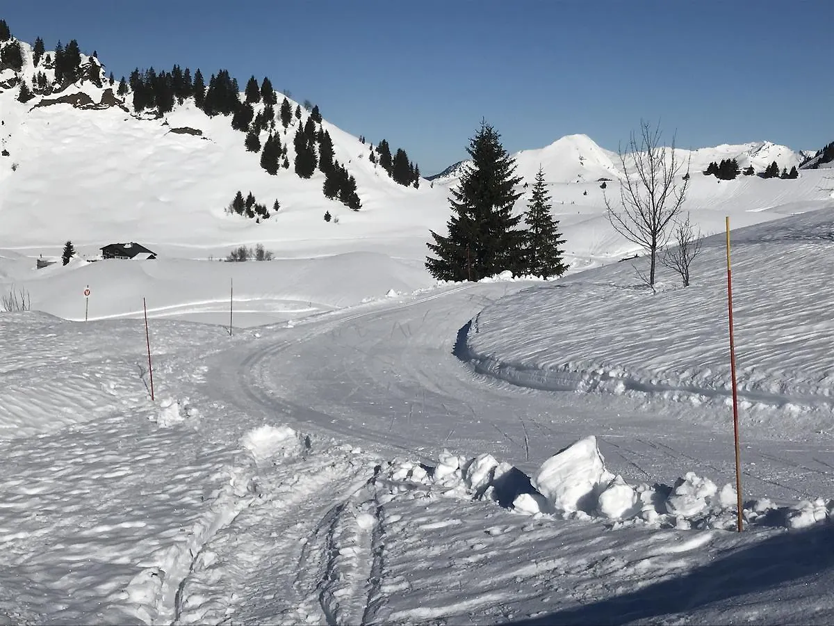 Residence Les Chardons Argentes 2 Samoens