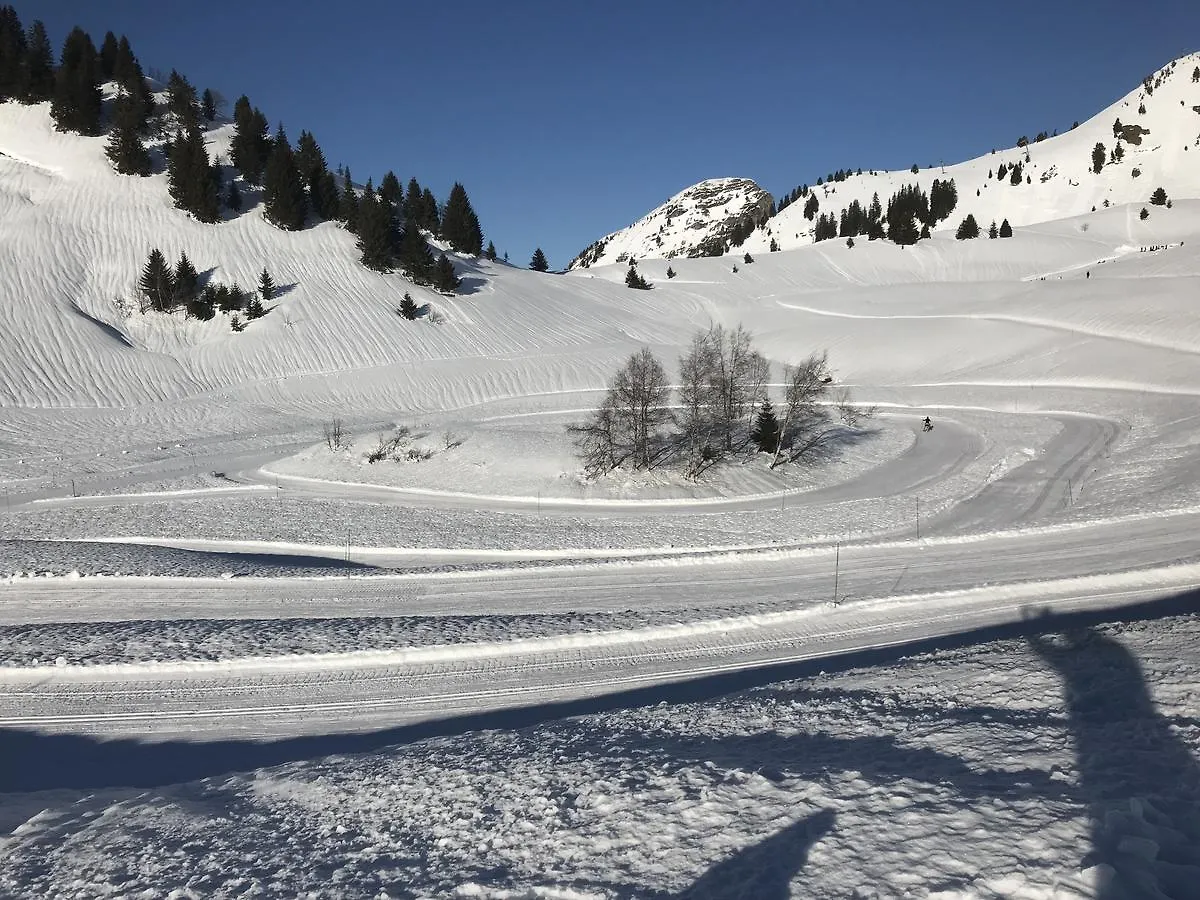Residence Les Chardons Argentes 2 Samoëns Apartman