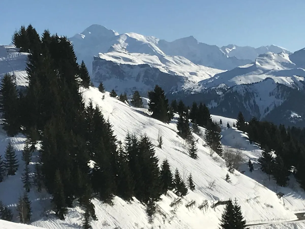 Apartman Residence Les Chardons Argentes 2 Samoëns Franciaország